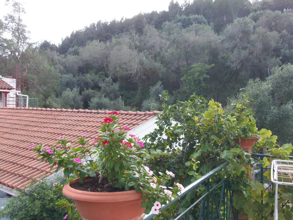 Konstantina Apartment Лакка Екстер'єр фото